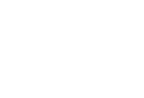 Le cheval blanc